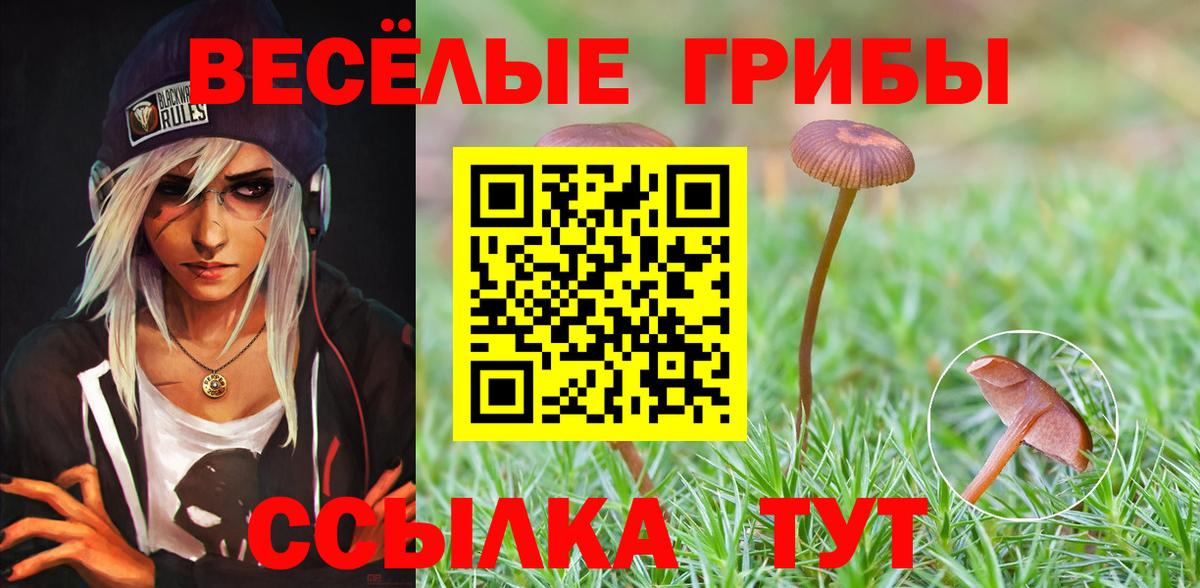 Одинцово  Галлюциногенные грибы GOLDEN TEACHER  Псилоцибиновые грибы мухоморы  Вход с VPN 
